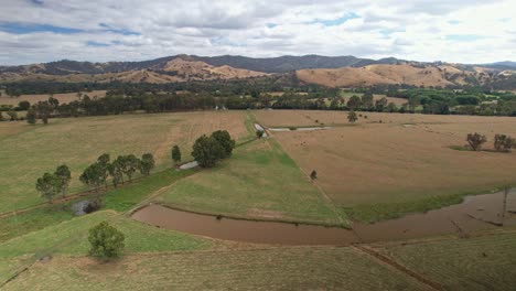 Aerial-of-farm-dams-cows-and-paddocks-with-the-Goulburn-River-behind-near-the-town-of-Eildon,-Victoria,-Australia
