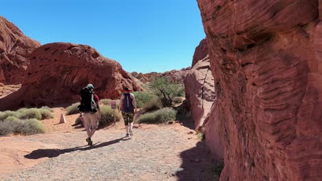 Vibrant-red-sandstone-and-people-hiking-on-pathways-in-the-Valley-of-Fire-state-park-in-th-Mohave-desert-Nevada