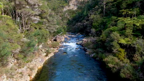 Malerische-Aussicht-Auf-Den-Ohinemuri-Fluss,-Gesäumt-Von-Einheimischen-Neuseeländischen-Pflanzen-Und-Bäumen-In-Der-Ländlichen-Landschaft-Der-Nordinsel-In-Neuseeland,-Aotearoa