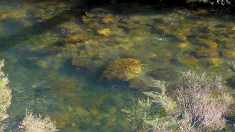 Kristallklares-Fließendes-Wasser-Des-Ohinemuri-Flusses-In-Der-Karangahake-Schlucht-Auf-Der-Nordinsel-Neuseelands,-Aotearoa