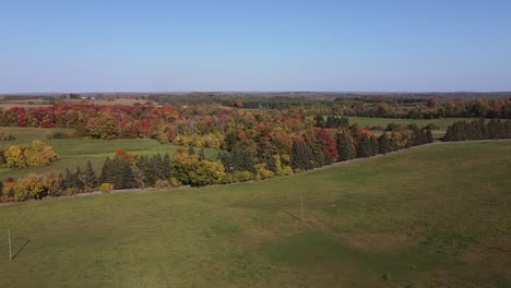 Drone-Shot-Of-Rural-Farm,-Forest-With-Fall-Colour-Foliage-In-Caledon