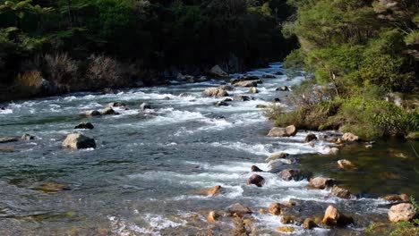 Schnell-Fließendes-Flaches-Wasser-Am-Ohinemuri-Fluss-In-Der-Karangahake-Schlucht-Auf-Der-Nordinsel-Neuseelands,-Aotearoa
