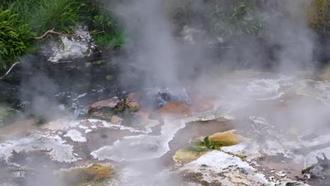 Close-up-of-bubbling-sulphuric-hot-pool-spring-in-swampy-steamy-and-misty-environment