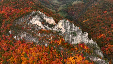 Große-Drohnenaufnahme-Von-Seneca-Rocks-In-West-Virginia-Während-Des-Herbstlaubs