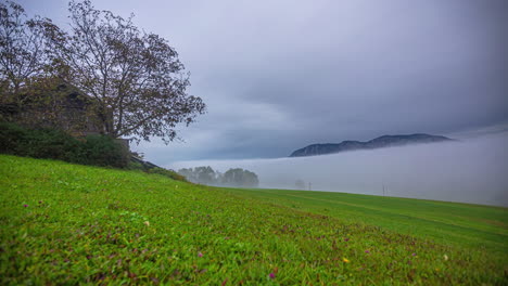 Time-lapse-of-fog-moving-over-meadows-and-trees-at-lake-Attersee,-in-Austria