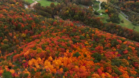 Drone-footage-of-Seneca-Rocks-in-West-Virginia-during-peak-Fall-foliage-flying-close-to-mountain
