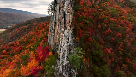 Climbers-scaling-cliff-in-Seneca-Rocks-West-Virginia-during-peak-fall-foliage