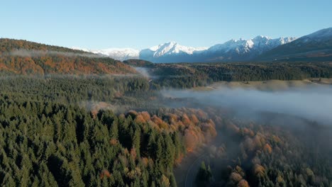 Erkundungsaufnahme-Des-Grünen-Herbstwaldes-Piana-Del-Cansiglio-Bei-Nebligem-Wetter,-Dolomiten
