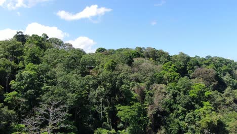 Drohnenansicht-Des-Strandes-Von-Costa-Rica-Mit-Ufer--Und-Palmenwald-Im-Corcovado-Nationalpark-Auf-Der-Halbinsel-Osa-An-Einem-Sonnigen-Tag-Im-Pazifischen-Ozean
