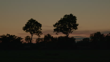 Langsames-Neigen-Vom-Boden-Zu-Einigen-Bäumen,-Büschen-Und-Einem-Farbenfrohen-Bewölkten-Himmel-Während-Des-Sonnenaufgangs
