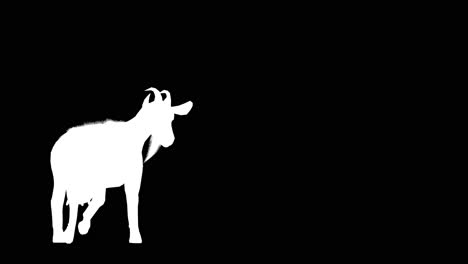A-goat-walking-on-black-background-with-alpha-channel-included-at-the-end-of-the-video,-3D-animation,-perspective-view,-animated-animals,-seamless-loop-animation