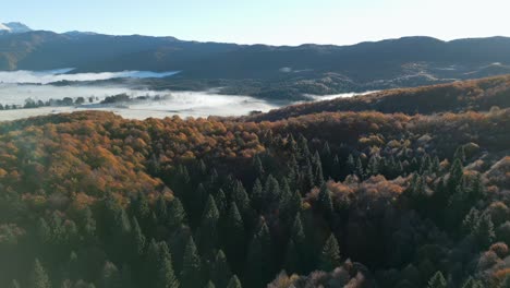 Aerial-Shot-Of-Piana-Del-Cansiglio-Autumn-Forest-In-Dolomites-Mountains-In-Foggy-Weather