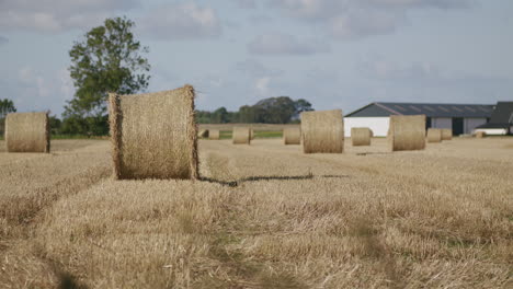 Dolly-shot-of-a-harvested-field-with-hay-bales,-next-to-a-house-and-a-large-tree