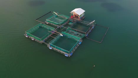 Milkfish-cage-farming-in-clear-green-water-bay-aerial-view-in-Philippines