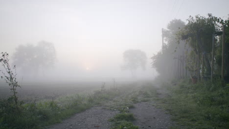 Dolly-across-a-misty-dirt-road-during-sunrise