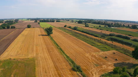 Aerial-top-view-of-drone-flying-above-farmland-fields