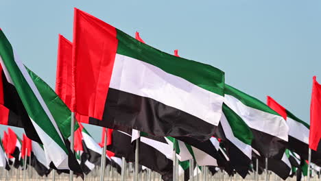 Las-Banderas-De-Los-Emiratos-Árabes-Unidos-Se-Exhiben-En-El-Jardín-De-Banderas-Para-Celebrar-El-Día-De-La-Bandera-De-Los-Emiratos-Árabes-Unidos,-Que-Se-Encuentra-En-La-Playa-Pública-De-Jumeirah-En-Dubai,-Emiratos-Árabes-Unidos.