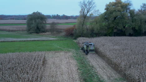 Forward-tracking-shot-of-the-Harvester-Claas-Lexio-510-at-work-in-a-cornfield