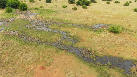 Drone-aerial-of-water-seeping-into-a-veld-in-the-wild