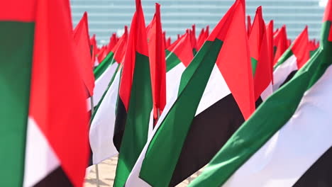 Las-Banderas-De-Los-Emiratos-Árabes-Unidos-Se-Exhiben-En-El-Jardín-De-Banderas-Para-Celebrar-El-Día-De-La-Bandera-De-Los-Emiratos-Árabes-Unidos-En-Dubai,-Emiratos-Árabes-Unidos.