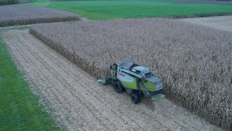 Tracking-shot-of-the-Harvester-Claas-Lexio-510-at-work-in-a-cornfield