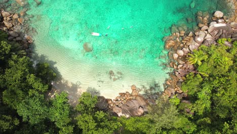 Drone-of-Anse-major-beach,-bird-eye-shot-of-4-tourist-snorkelling-near-boat,-granite-stones,-turquoise-water-and-white-sandy-beach,-Mahe-Seychelles-30-fps