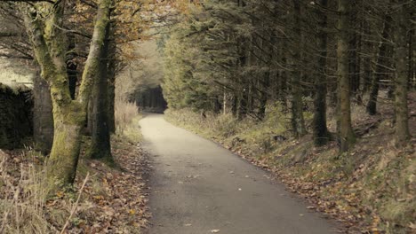 Ein-Langer-Feldweg,-Der-An-Einem-Herbsttag-Zum-Pendle-Hill-In-Lancashire-Führt