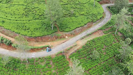 Tuktuk-Fährt-Durch-Teeplantagen-Im-Land-Sri-Lanka