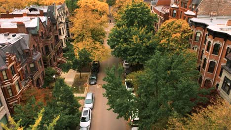 Gold-Coast-Chicago-aerial-view-of-houses-and-fall-foliage