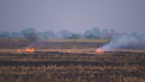 Stubble-burning-of-left-overs-from-paddy-or-rice-field-harvest-causing-smog-and-heavy-air-pollution-in-delhi-punjab-haryana-in-india