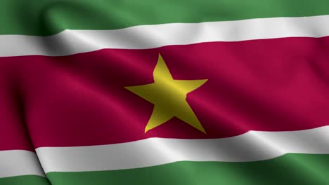Surinam-Flagge