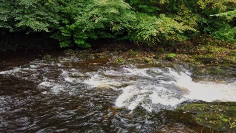 Nahaufnahme-Des-Flusses-Tavy,-Der-über-Große-Felsbrocken-Im-Wasser-Fließt,-Nachdem-Er-Durch-Die-Stadt-Tavistock-In-Der-Englischen-Grafschaft-Devon-Geflossen-Ist