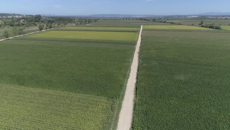 Summer-Crops-in-European-Farm-Land-Aerial-Background