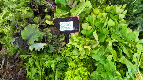 Fresh-herbs-from-the-local-farm-at-an-organic-farmers-market,-healthy-bio-greens-and-salad-leaves-for-sale,-4K-shot