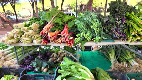 Organic-farmers-market-with-fresh-vegetables-from-the-local-farm,-healthy-bio-greens-and-vegetables-for-sale,-4K-shot