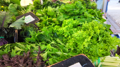 Frische-Grüne-Kräuter-Vom-örtlichen-Bauernhof-Zum-Verkauf-Auf-Einem-Bio-Bauernmarkt,-Gesundes-Bio-Grün-Und-Salatblätter,-4K-Aufnahme