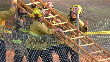 Feuerwehrleute-Tragen-Eine-Holzleiter