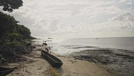 Dirty-seaside-with-wooden-pirogue-and-dogs