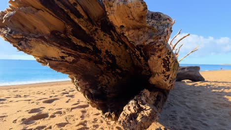 spectacular-shot-of-a-tree-trunk-on-a-lonely-and-paradisiacal-beach-in-slowmotion