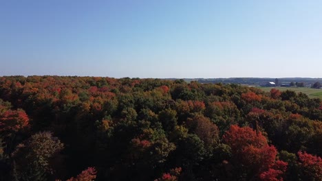 Pullback-Luftaufnahme-Der-Höchsten-Herbstfarben-In-Caledon,-Ontario