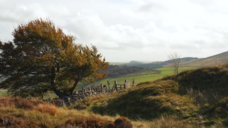 Englische-Ländliche-Landschaft-Mit-Herbstfarben