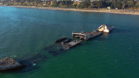 Drone-shot-around-a-sunken-ship-full-of-birds,-in-sunny-California,-USA
