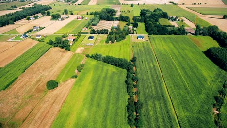 Bird's-eye-view-of-agricultural-area-and-green-wavy-fields-in-sunny-day