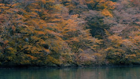 Wunderschöne-Herbstlandschaft-Mit-Bäumen-Und-Blättern