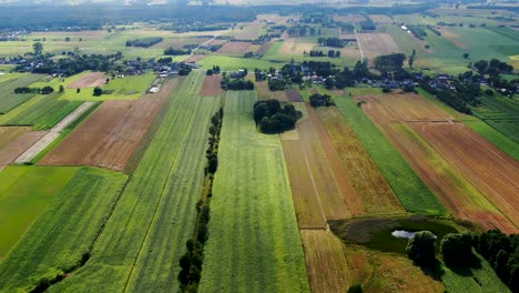Bird's-eye-view-of-agricultural-area-and-green-wavy-fields-in-sunny-day