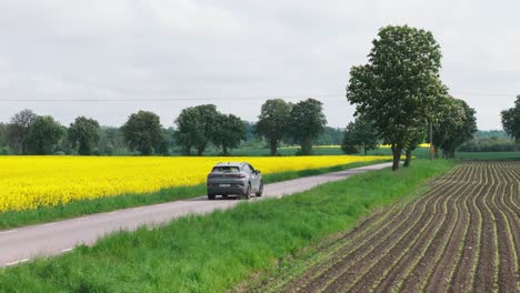 Aerial-rear-tracking-follows-electric-SUV-drive-along-yellow-rapeseed-field