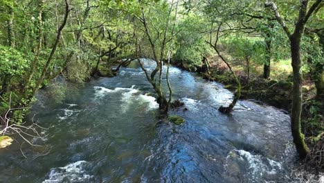 Carballeira-Municipal-de-Baio-Hiking-Area-With-Flowing-River-In-La-Coruna,-Spain