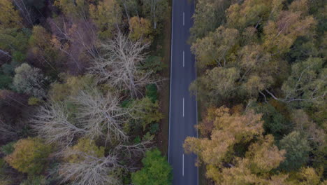 Aerial-birds-eye-shot-of-driving-cars-on-road-between-colorful-woodland-in-autumn---Hel,-Kuznica