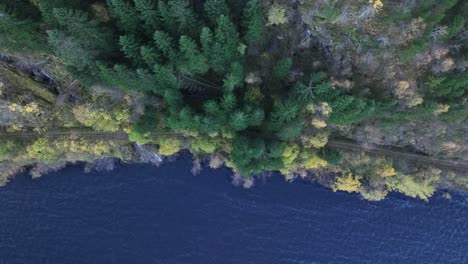 Norway-coastal-road,-cinematic-top-down-aerial-above-treetops,-Vaksdal-Norway