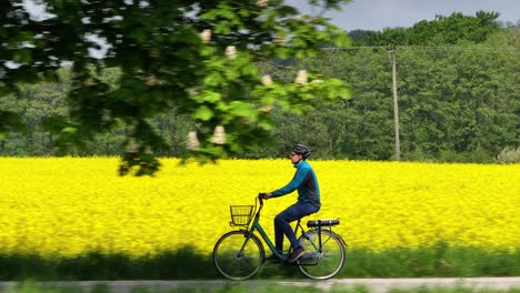 Side-view-tracking-follows-man-commuting-on-relaxed-city-bike-by-rapeseed-field
